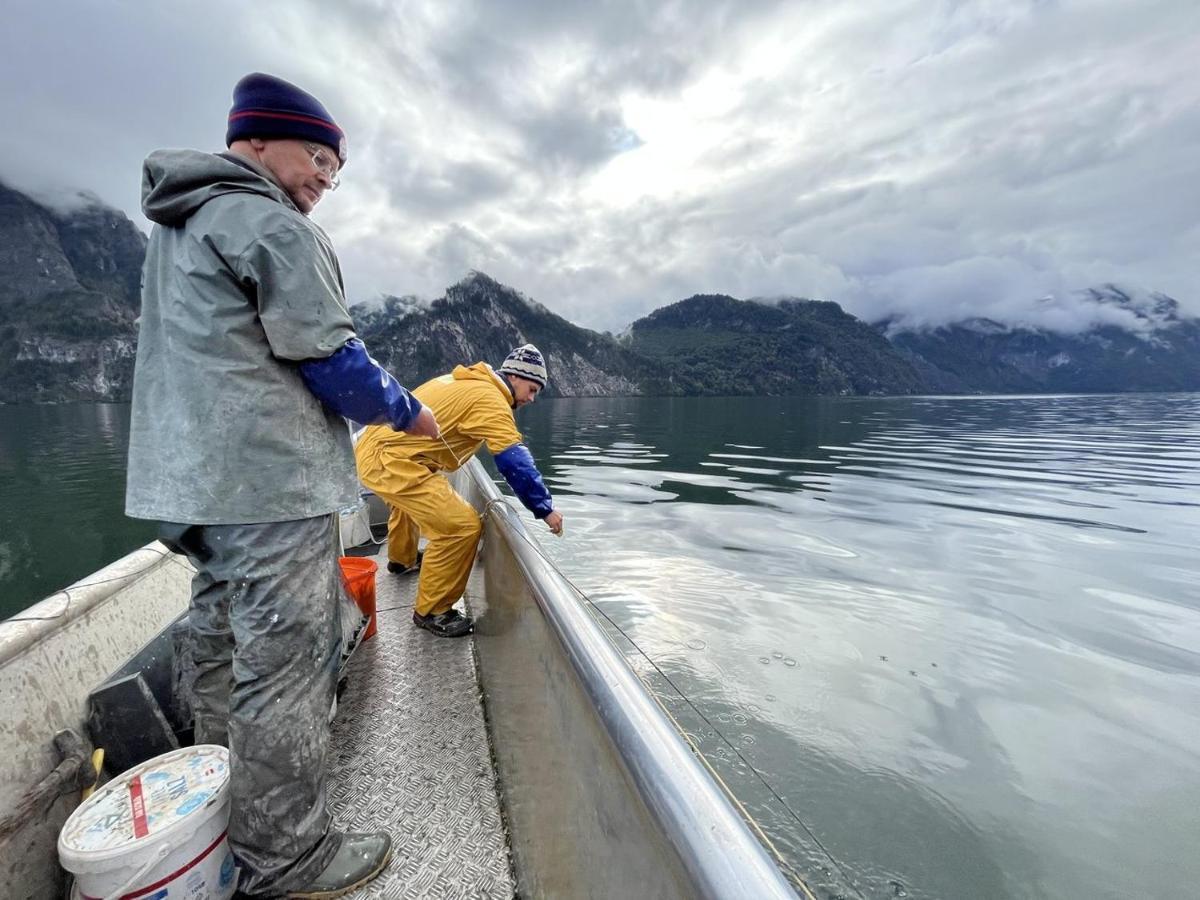 Das Traunsee Traunkirchen Exteriör bild